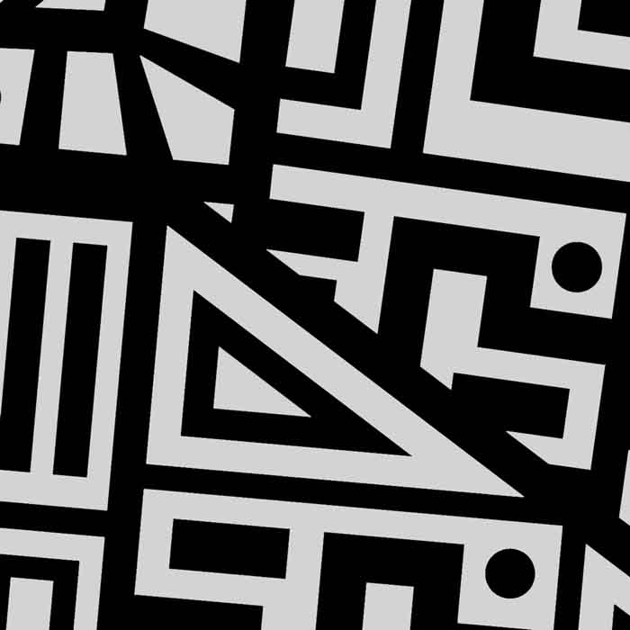 Abstract Black Line Art VinaFrog