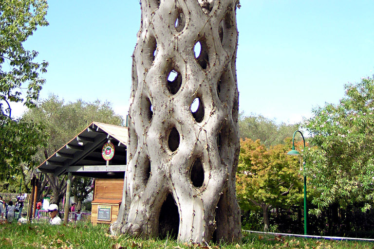 Basket-Tree