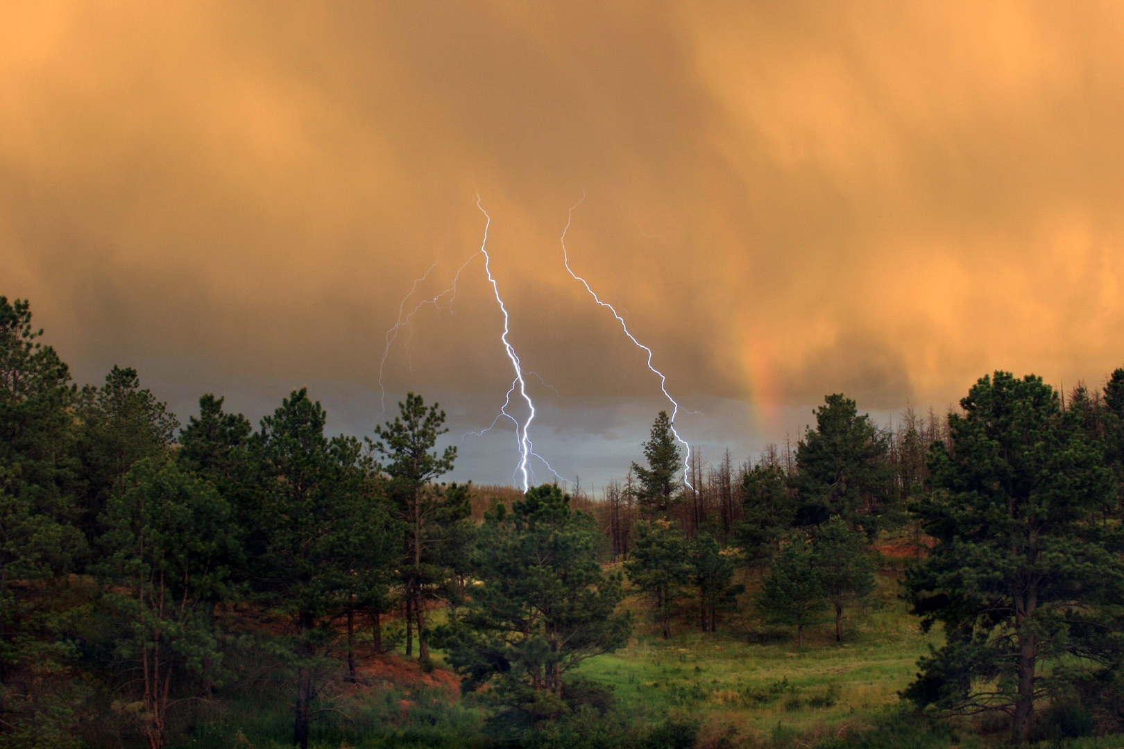 Summer_Storm,_Fork_of_Lightning_Striking_a_Forest