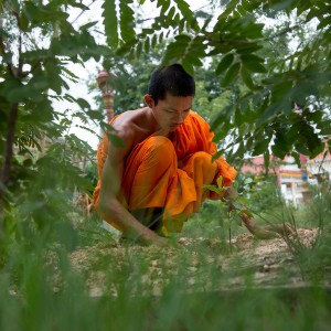 cambodia2