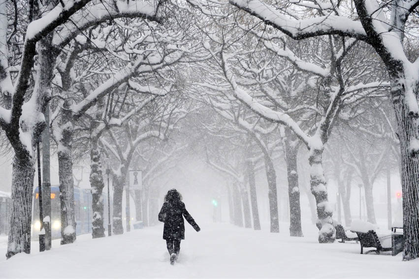 snow-4