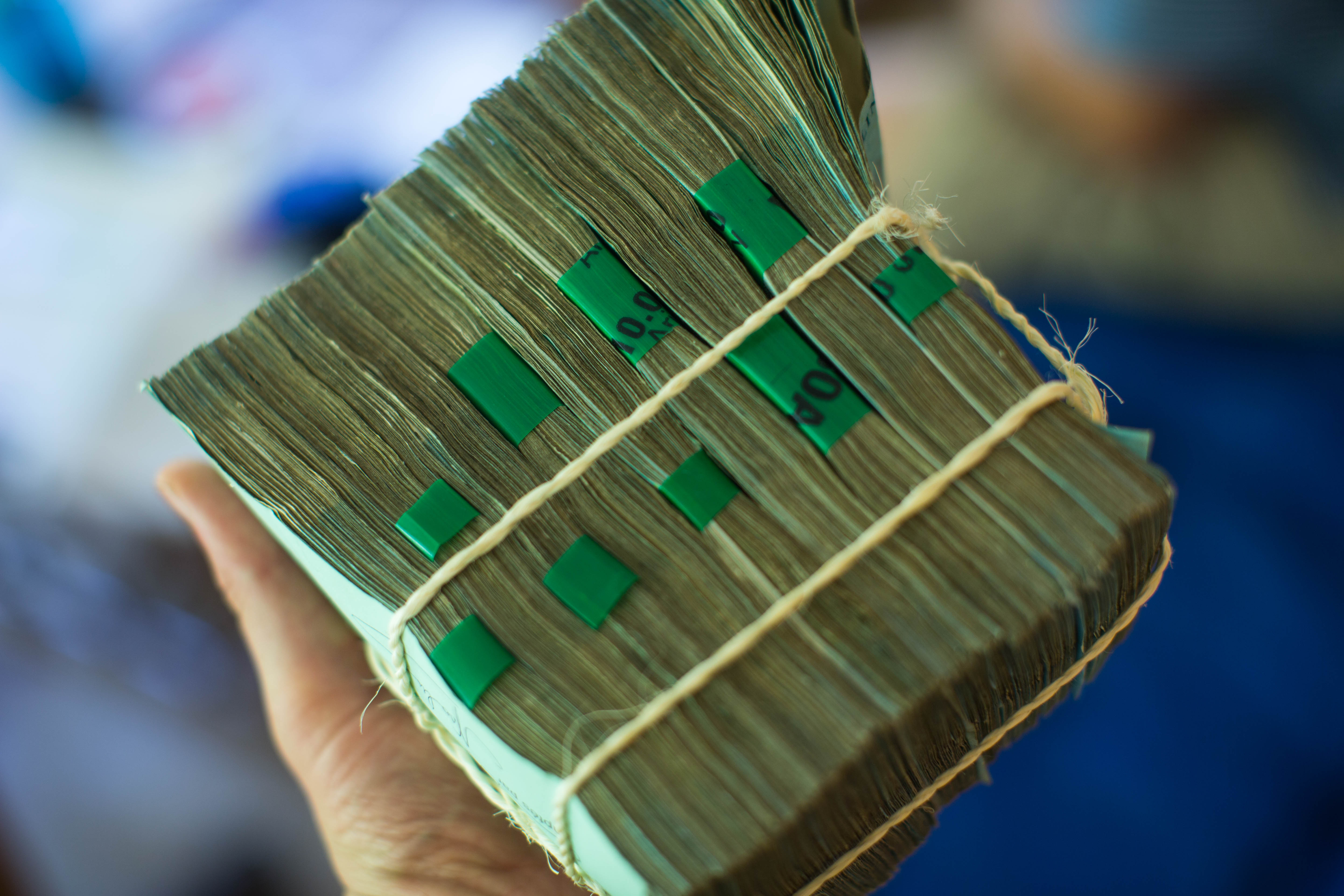 tentree_mad2014_3319