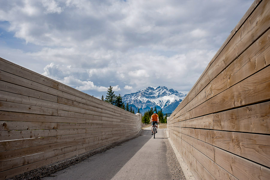 Banff legacy trail tentree