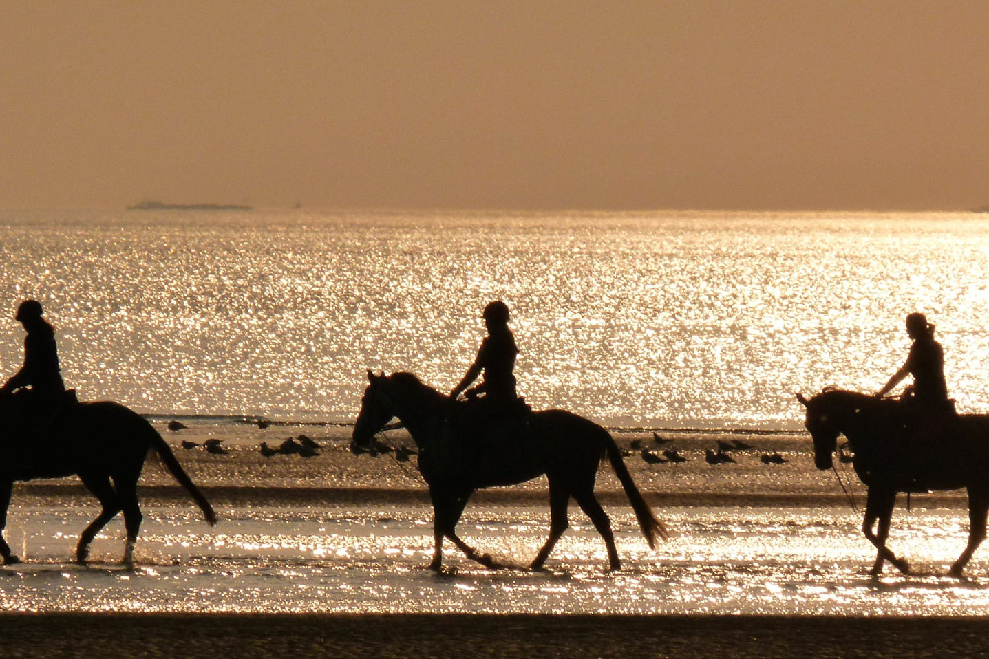 Horse-riding-in-the-water