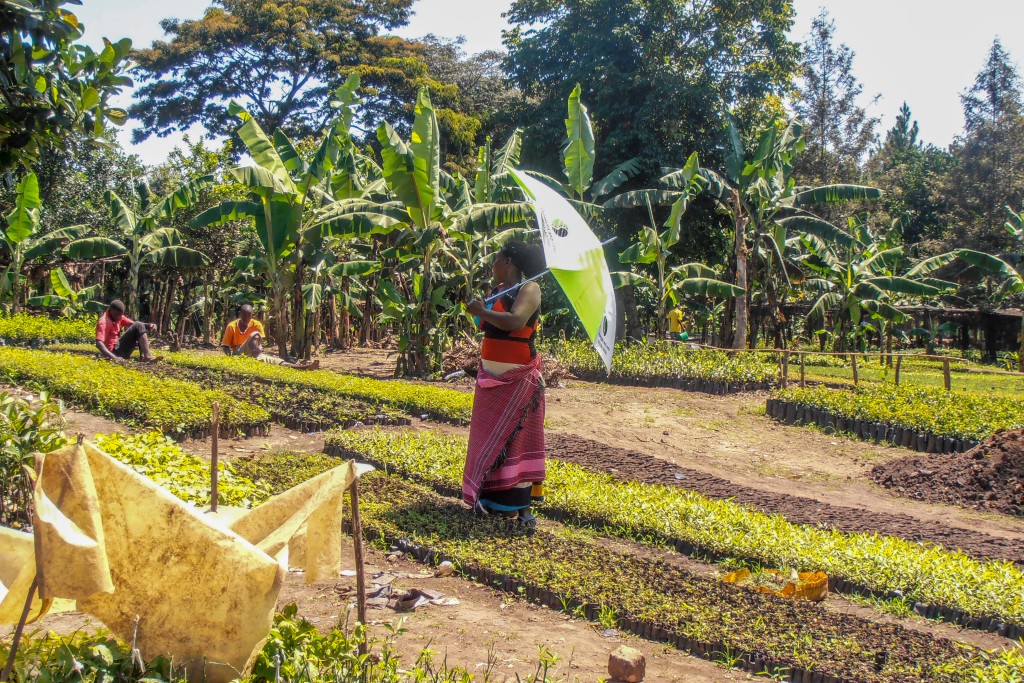tentree uganda nursery