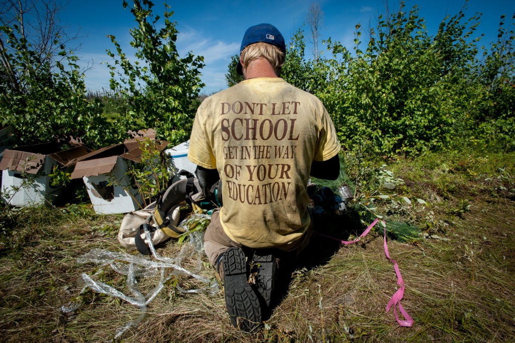 tentree canada
