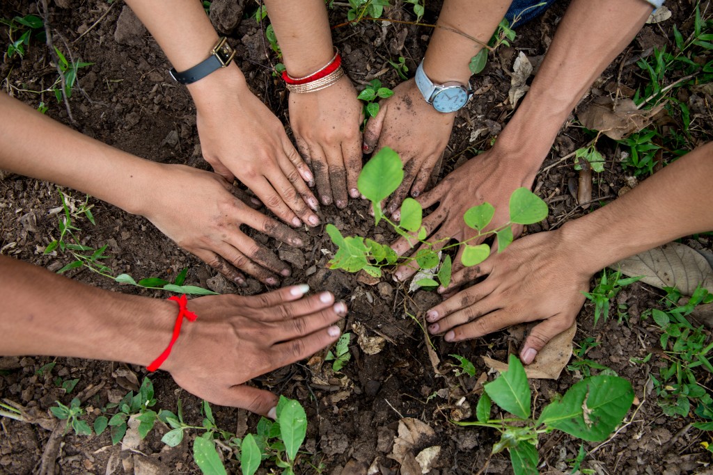 Tree Planting Cambodia 2014 Luc Forsyth-50