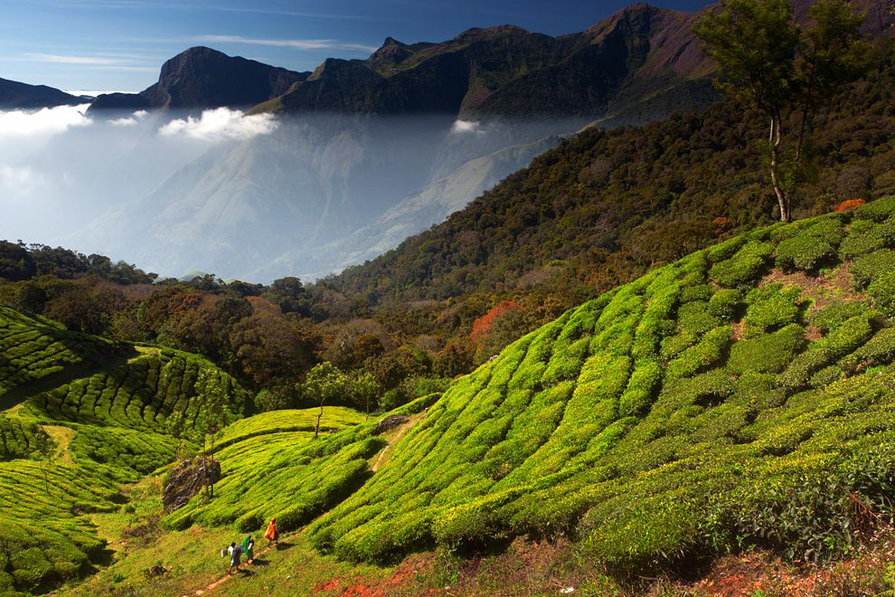 Kerala, India