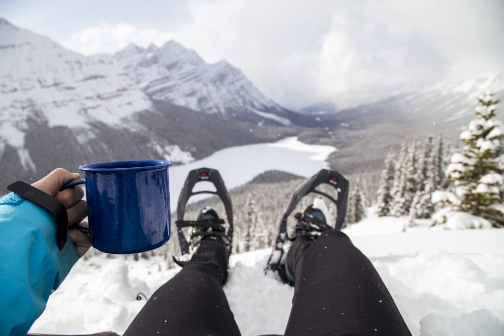 Solo Adventure-tentree