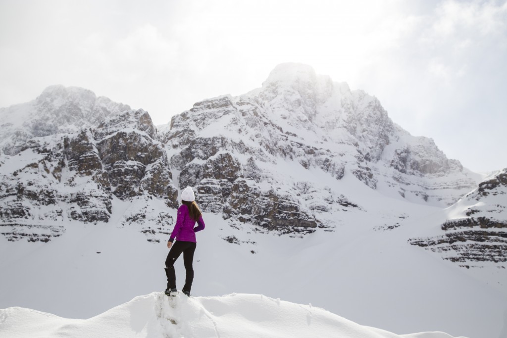 Solo Adventure-tentree
