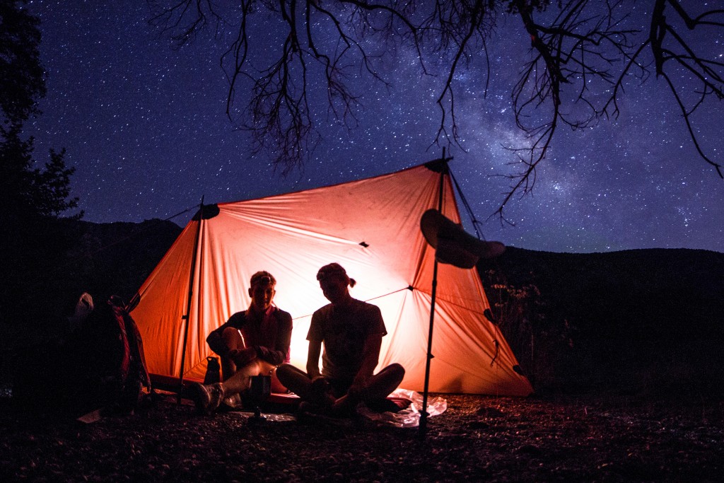 StargazingCNF tentree