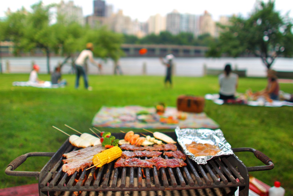 picnic_scene