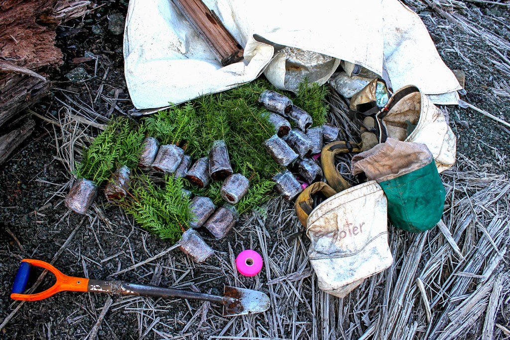 www-replant-ca_2012_coastal_029