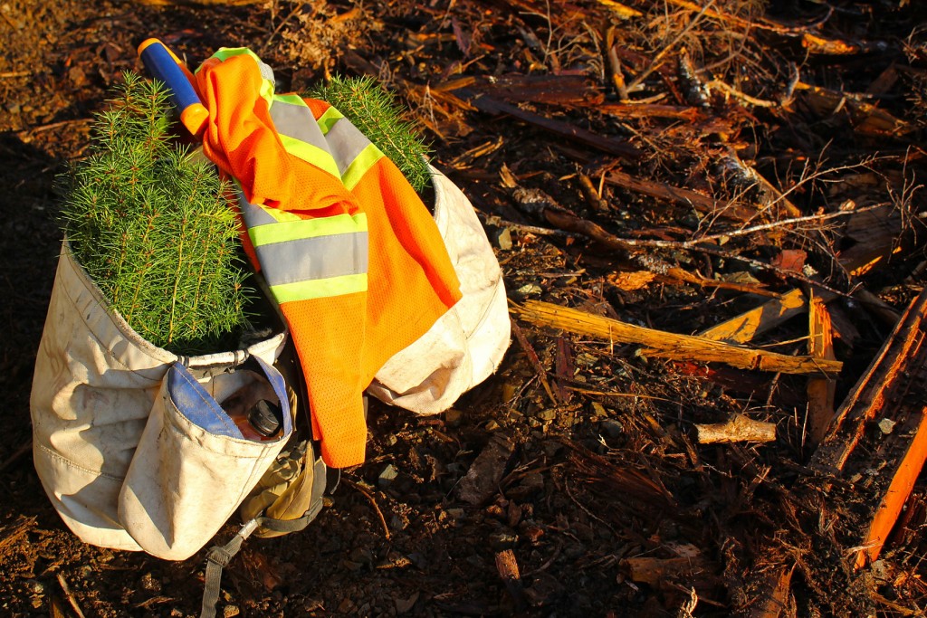 www-replant-ca_2012_fall_029