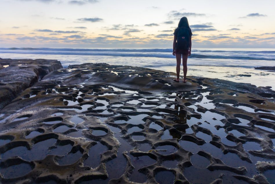5 hospitals reef tentree