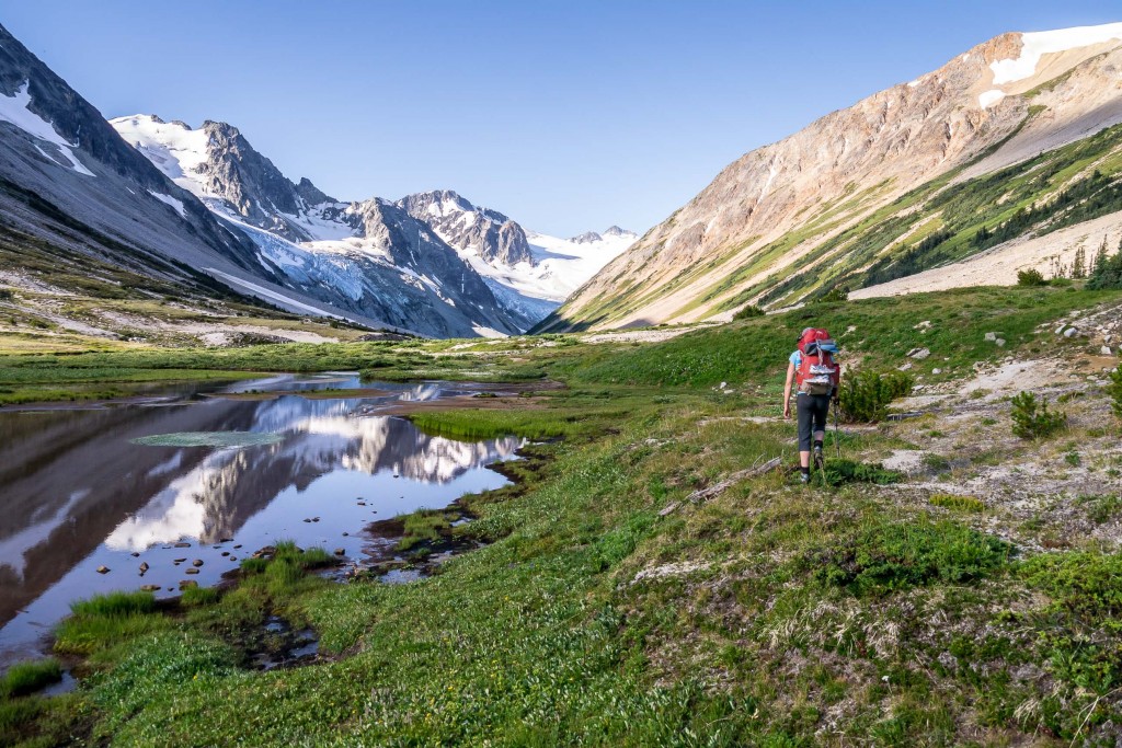 tentree john muir quote
