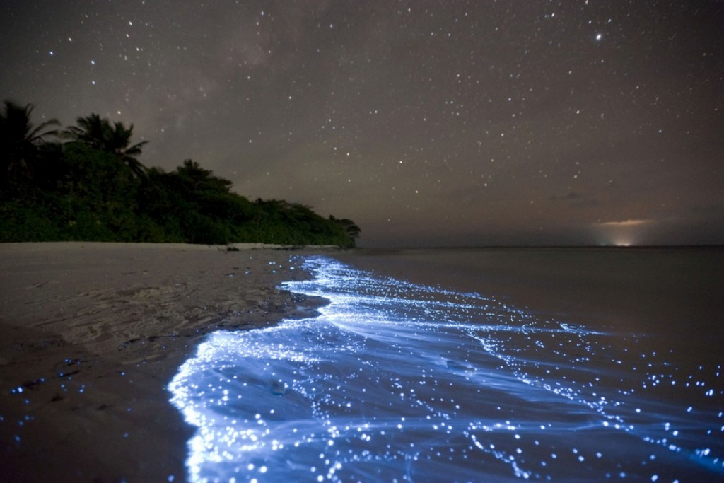 Sea.of.Stars.on.Vaadhoo.Island.original.1451