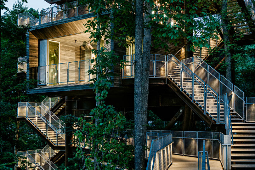 Treehouse01_Masthead