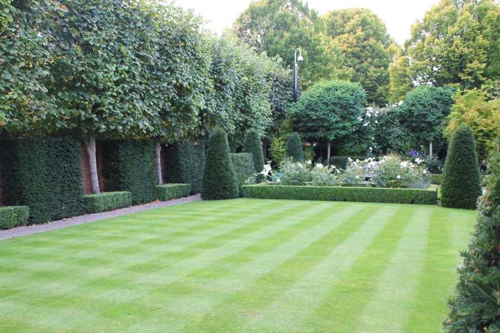 lawn