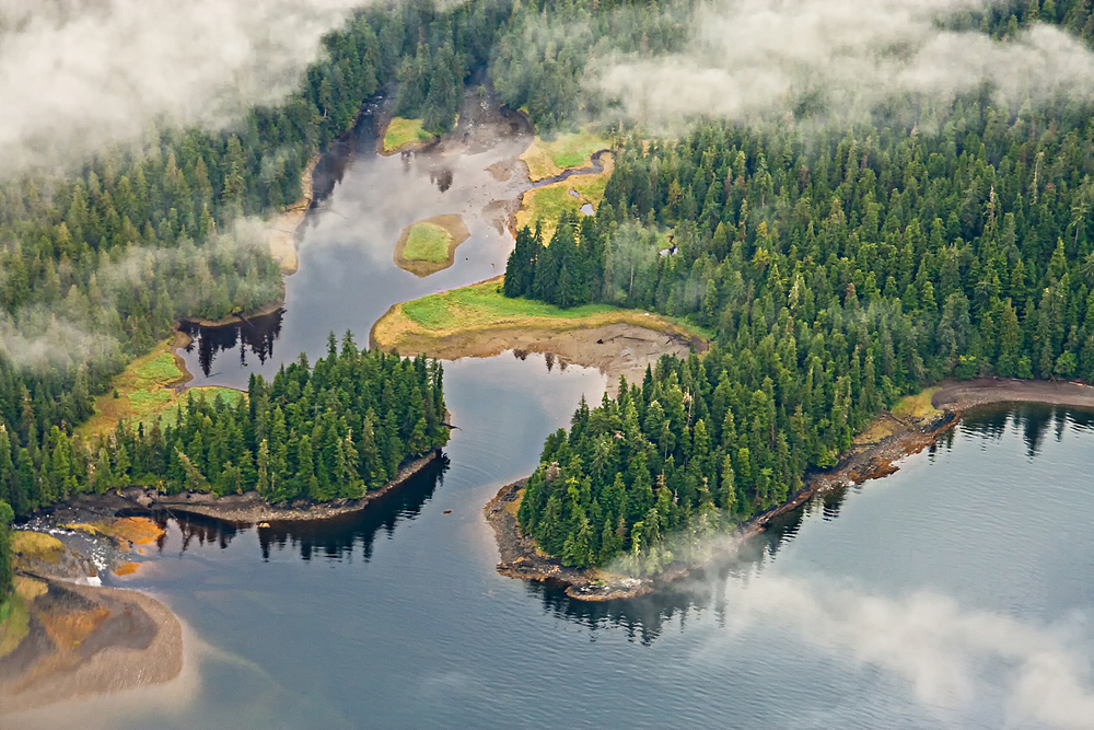 Tongass National Forest, Alaska