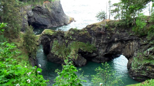 natural bridges cove boardman state park Oregon
