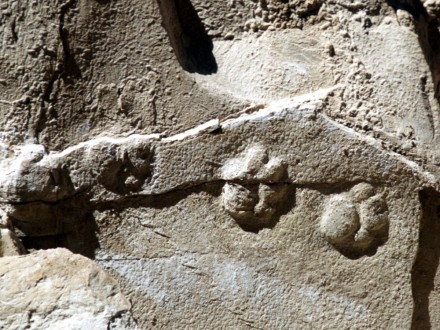 fossil_tracks