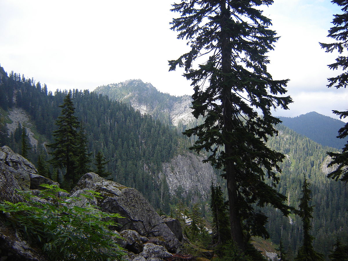 Mount Seymoure near Vancouver, BC Canada