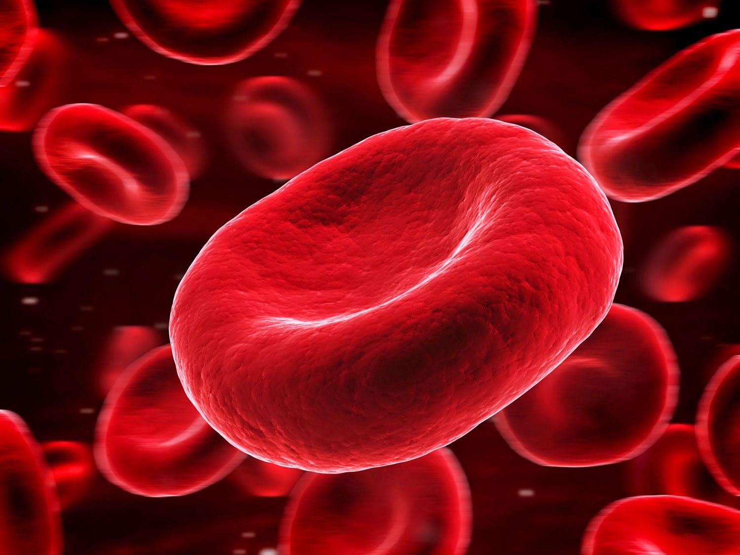 type o blood cell mosquitoes