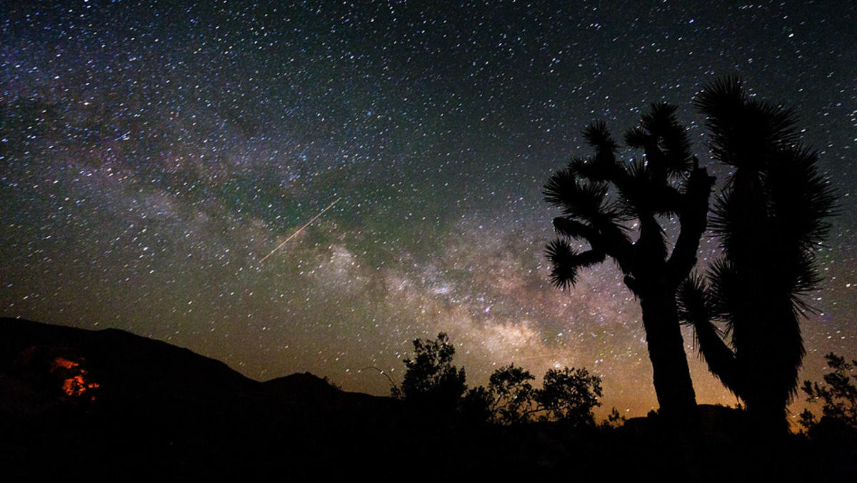 Joshua Tree National Park, California