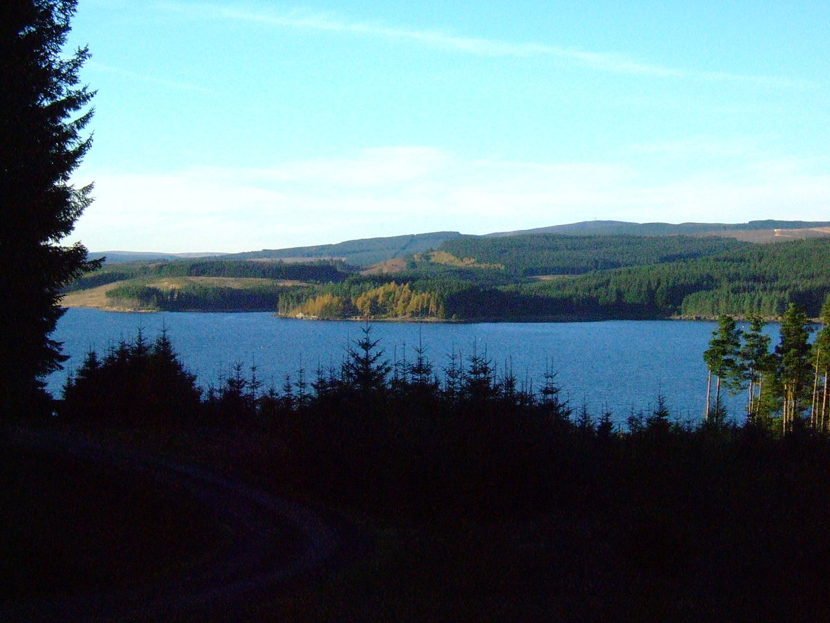 Kielder Forest, England