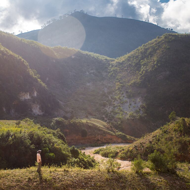 haiti tentree tree planting rainy season