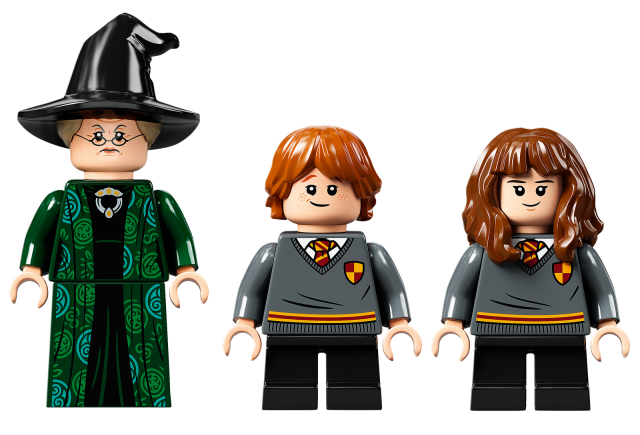 LEGO 76382 Harry Potter Hogwarts Moment: Transfiguration ...