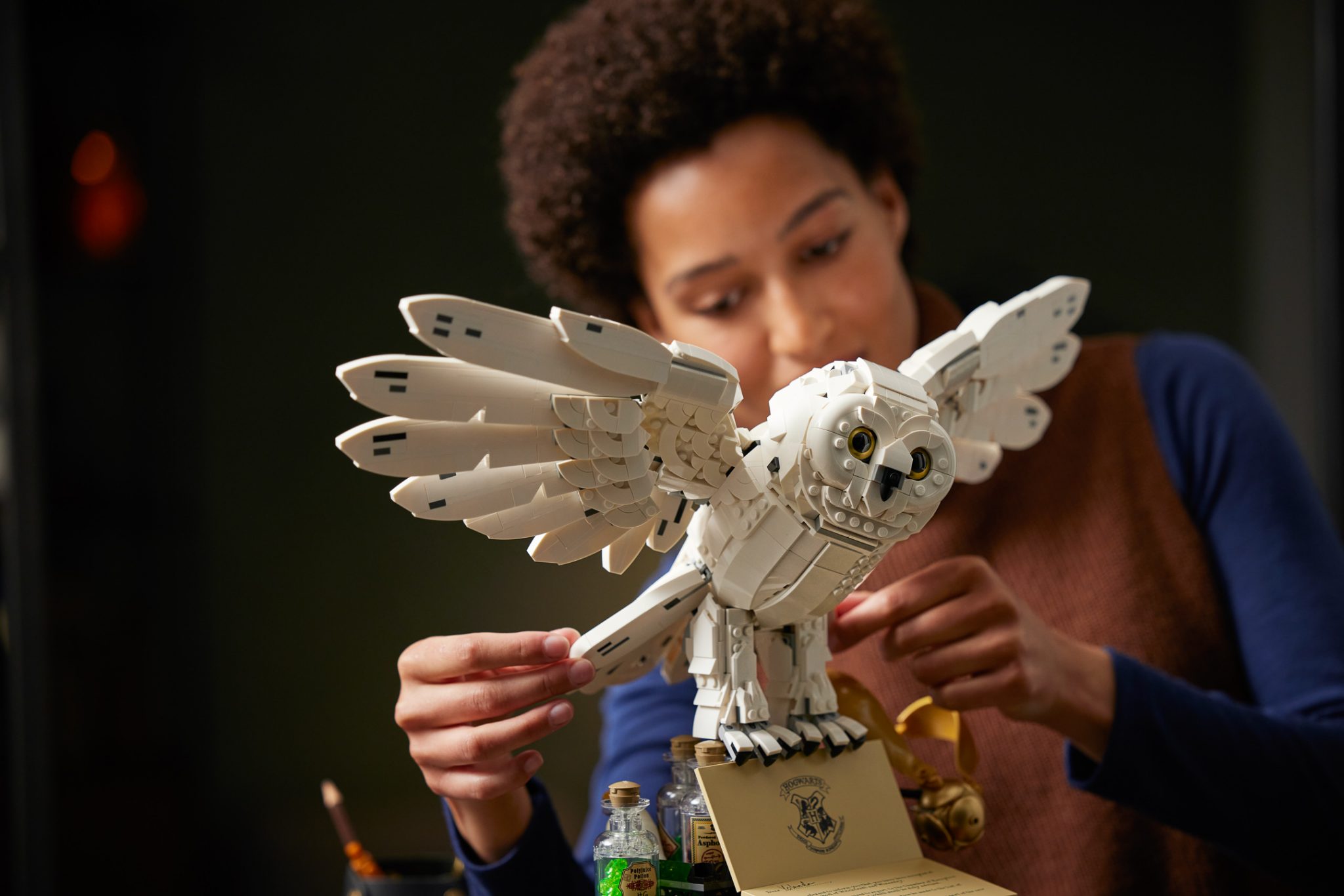 LEGO Harry Potter unveils 3,000piece 76391 Hogwarts Icons Collectors