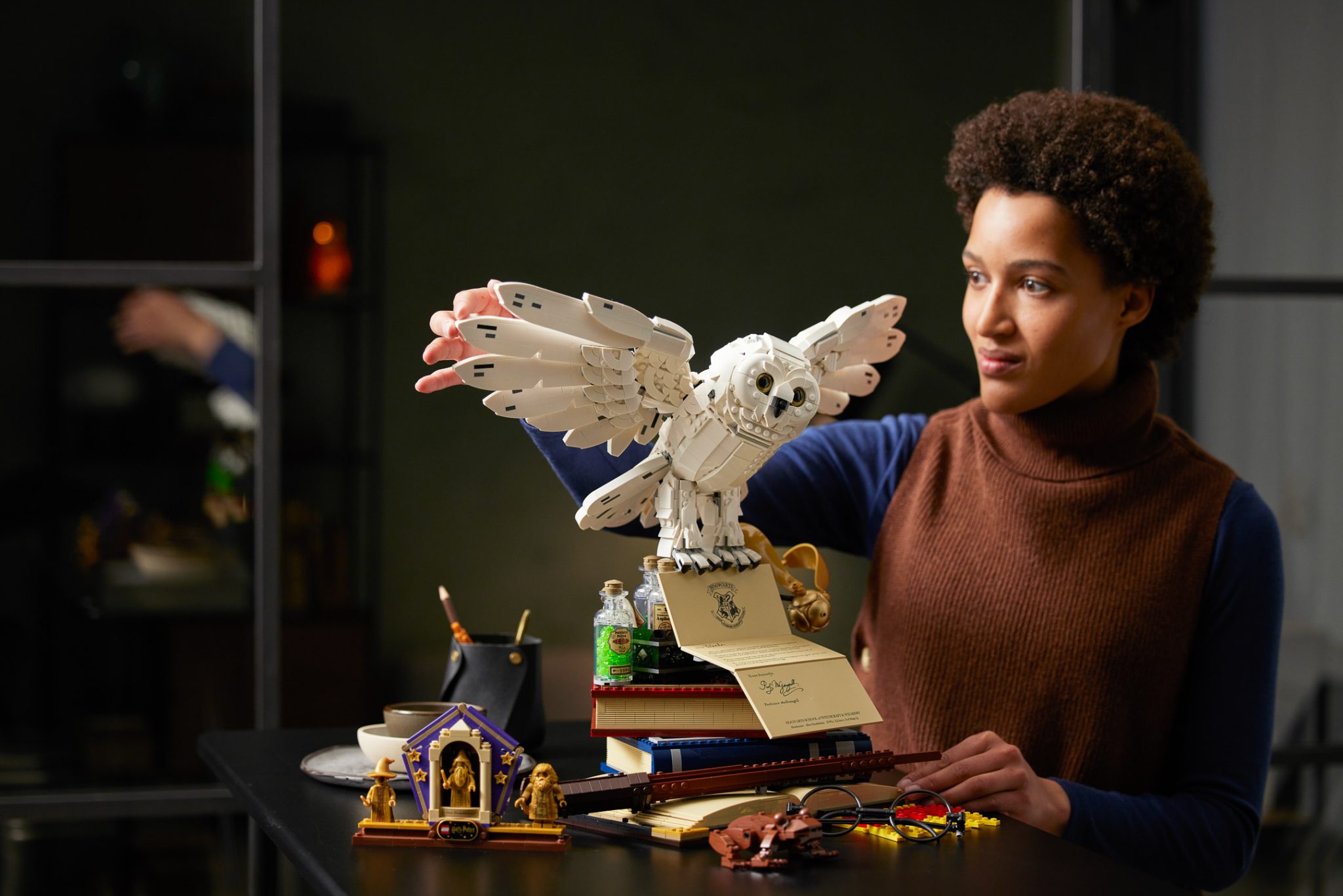 LEGO Harry Potter 76391 Hogwarts Icons Collectors' Edition VLGB431