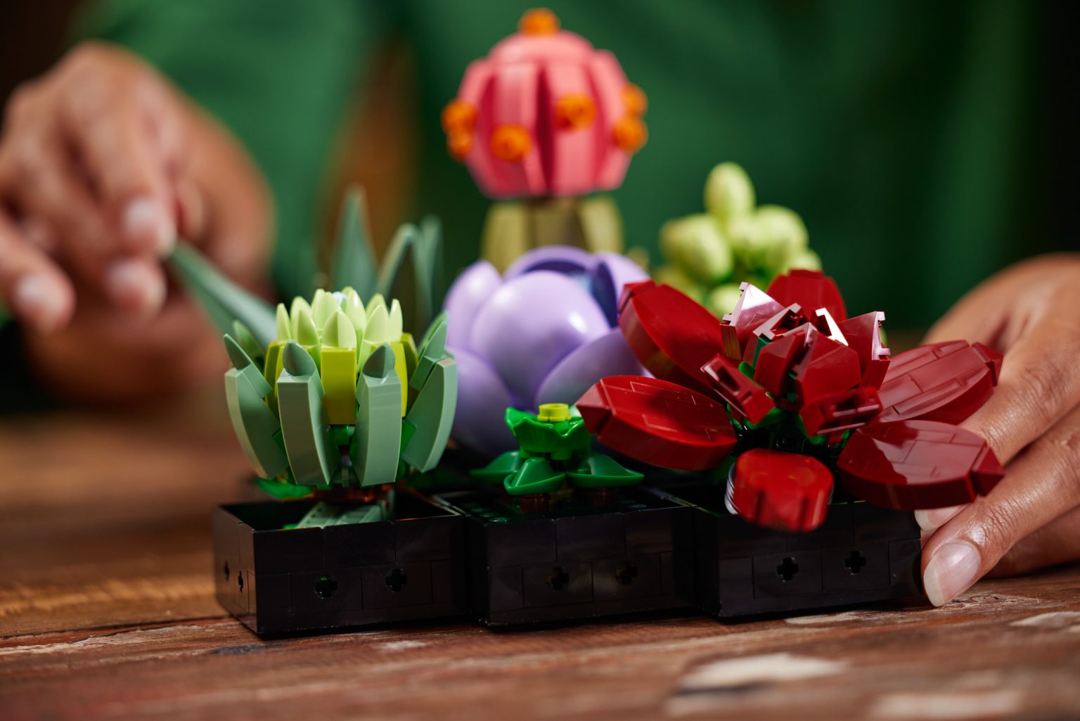 LEGO Botanical Collection 10309 Succulents (3) The Brothers Brick