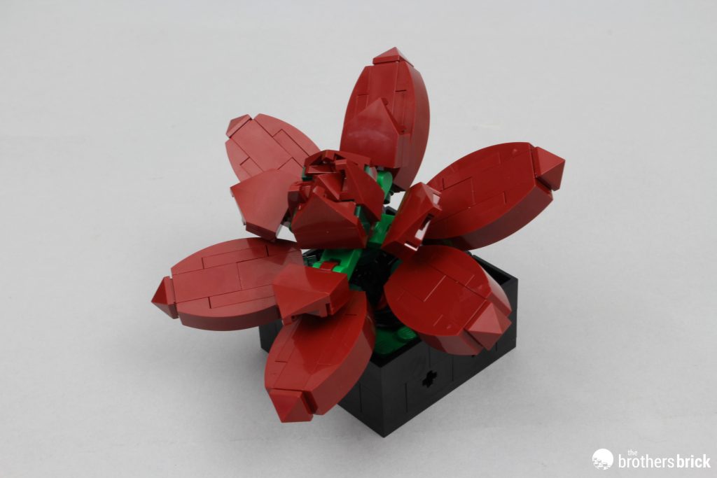 ▻ Review: LEGO Botanical Collection 10309 Succulents - HOTH BRICKS