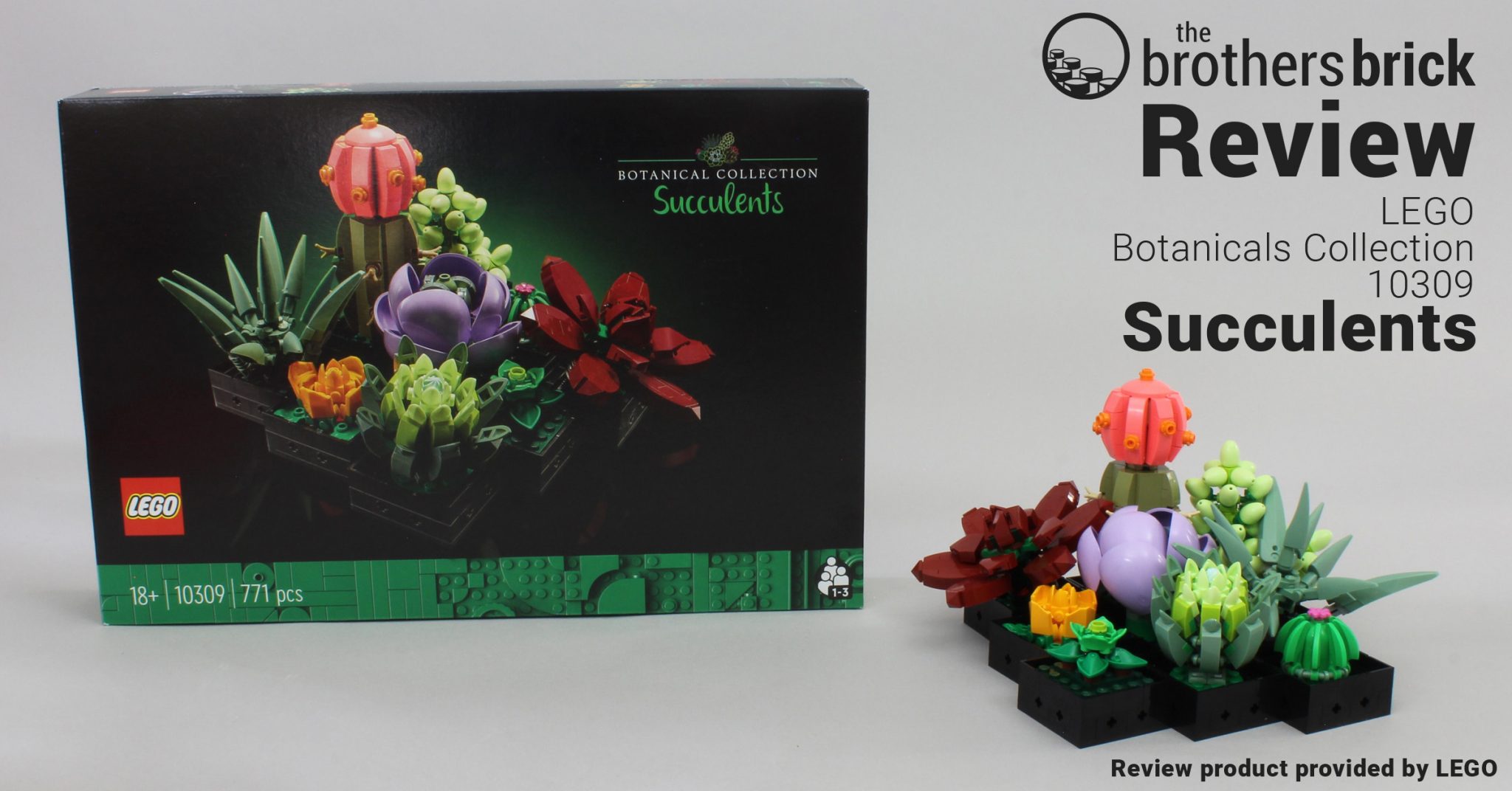 LEGO Botanicals Collection 10309 Succulents Review FB Cover The