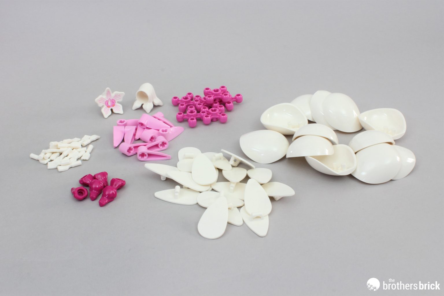 LEGO Botanical Collection 10311 Orchid beauty comes in many shapes