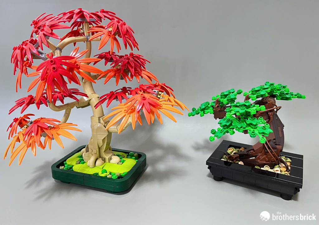 LEGO Botanicals 10348 Japanese Red Maple Bonsai Tree – TBB