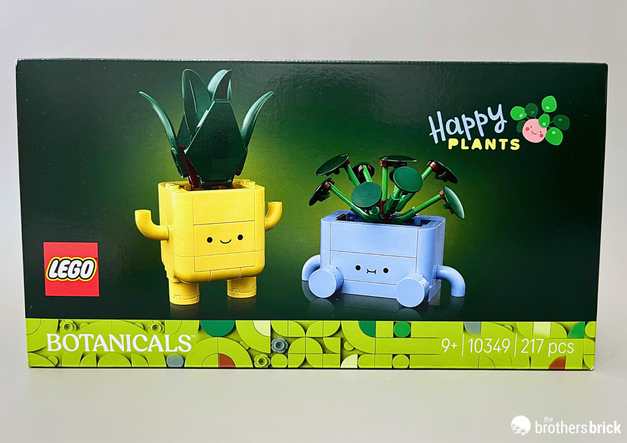 LEGO-Botanicals-10349-Happy-Plants-%E2%80%93-TBB-Review-%E2%80%93-DS16DS-%E2%80%93-1-2048x1448.png