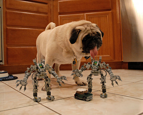 Pug + EXOSUIT + Mini