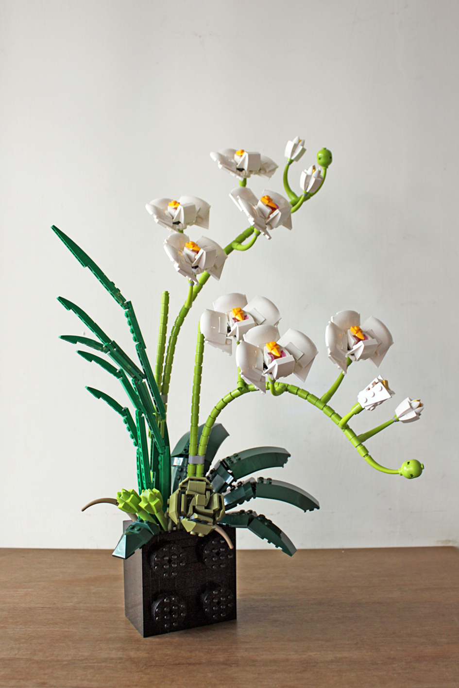 An Orchid for Spring - The Brothers Brick