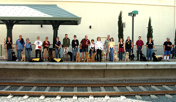 Shadow3-delMar091 Criadores de perros guías de la organización “Guide Dogs of America” esperan el tren en la estación Del Mar de la Línea Dorada de Metro para viajar de regreso a Union Station después de una excursión en Pasadena en el año 2008. Agustín Moreno con Shadow su perro guía, segundo de la derecha, sirvieron de ejemplo a los compañeros caninos y a sus muy bien comportados entrenadores.