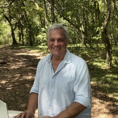 Uli