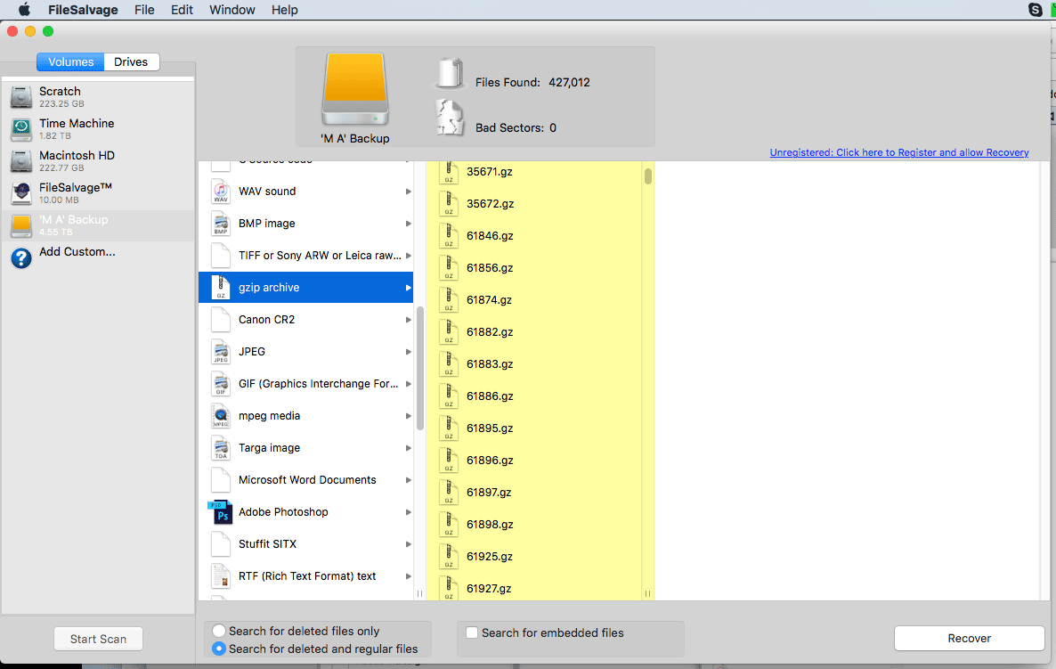 Filesalvage For Mac