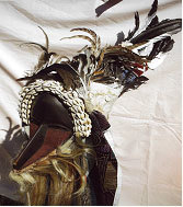 1st image