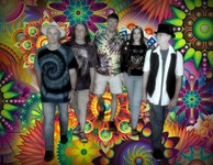11 kot band pic12