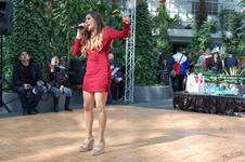 Mary ann van der horst gigroster.com 03