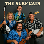 Surf cats 02