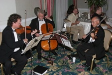 Dillingham strings 02